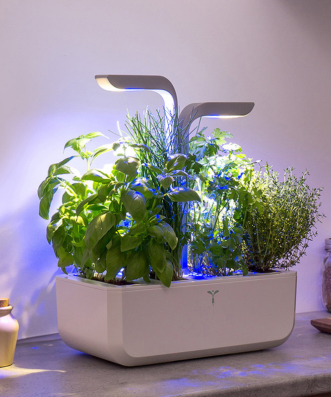 Veritable Smart Indoor Garden